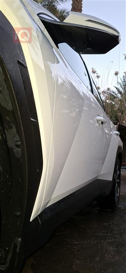 هیۆندای تۆکسۆن